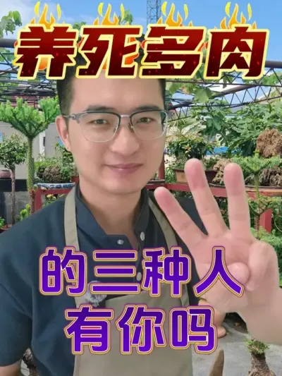 哪三种人容易把多肉养死？看看有你吗！ #养花  #多肉  #花卉绿植