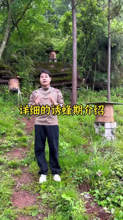 现在还能不能诱蜂，诱蜂的时间到底是什么时候这条视频有详细讲解#养蜂 #诱蜂 #养蜂技术 @抖音小助手