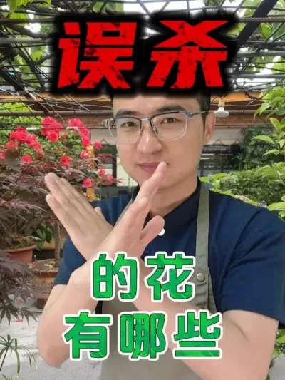 哪些花是被你误杀的！ #养花  #花卉绿植  #养花小知识