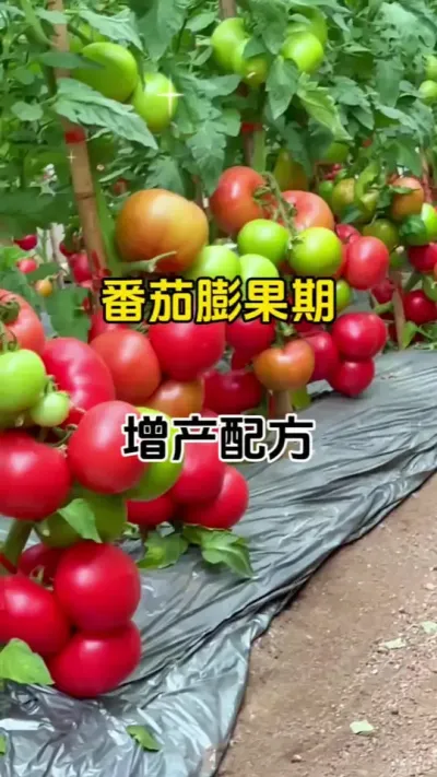 ䷽#ݪֲ #ũ # #