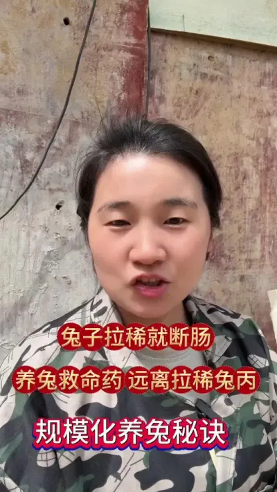 兔子拉稀就断肠，学会饲养管理，远离拉稀腹泻，兔子成活率高达9成9#兔子 #养兔#养兔人 #肉兔养殖 #养兔子