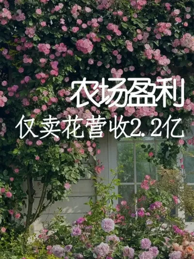 什么？免费开放的农场反而更赚钱？ #小院改造 #小院时光 #天雅设计 #农场 #商业思维