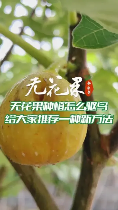 ޻ֲ80%˶֪һʽעÿ޻#޻ #ũ˼ƻ2023 #ũ #ũ