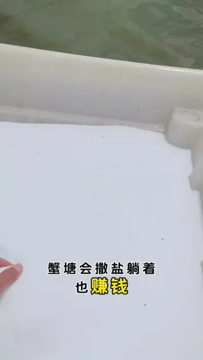 蟹塘学会撒盐躺着也能赚钱。#大闸蟹养殖 #三农 #鱼虾蟹养殖 #螃蟹养殖 #河蟹养殖 @DOU+小助手