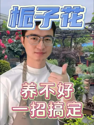 栀子花养不好，教你一招搞定！#养花 #栀子花 #硫酸亚铁