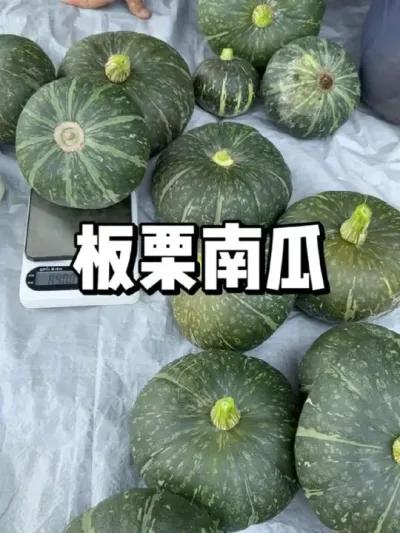 Ϲϲժζ #ũ