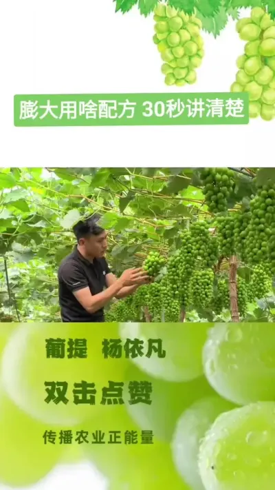 ʵʲô䷽ ʵʲô䷽30뽲#ũҵƹ #ũҵ #ѹ #ũ#ʩ#ũʷ