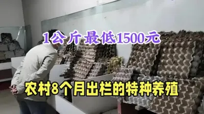 农村致富特种养殖，1公斤最低1500元，一千平年赚50多万 #特种养殖 #农村致富好项目 #返乡创业新农人 #三农养殖 #蝎子养殖
