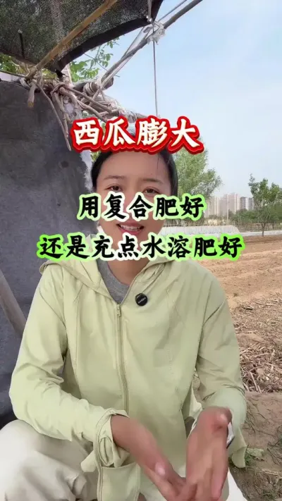 西瓜种植 西瓜膨大增甜用复合肥好还是充点水溶肥好#西瓜种植 #西瓜管理 #西瓜高产 #膨大增甜