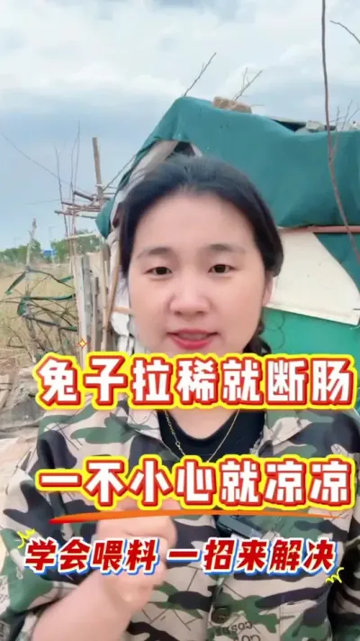 兔子拉稀，粪便不成型，一不小心，卧地就凉凉，学会喂料，远离兔兔丙拉稀，成活率9成9#兔子 #养兔人 #肉兔养殖 #兔子养殖 #养兔