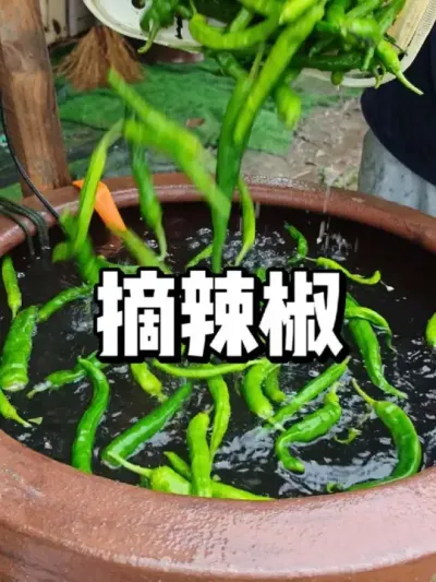˵ժ #ɫ߲