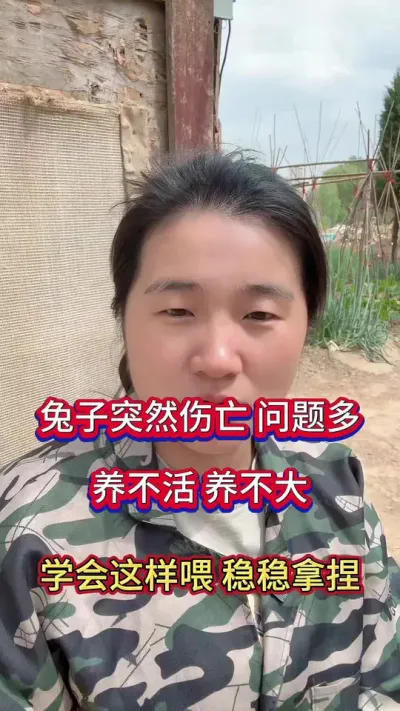 兔子成活率低，养不活，养不大，长的慢，试试规模化养兔场成功的法宝，全程不死一只兔#养兔子 #肉兔养殖 #兔子 #兔子养殖 #养兔