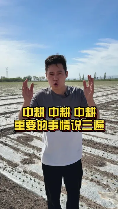 中耕中耕中耕！重要的事情说三遍！ #关注我每天分享种植知识 #棉花种植专家讲座 #棉花种植技术 @抖音小助手