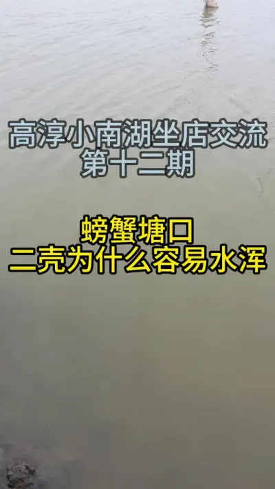 螃蟹塘口二壳为什么容易水浑！！！高淳小南湖坐店交流！！！ #渔多多养殖模式 #新农人计划2025 #龙虾养殖 #大闸蟹养殖 #三农