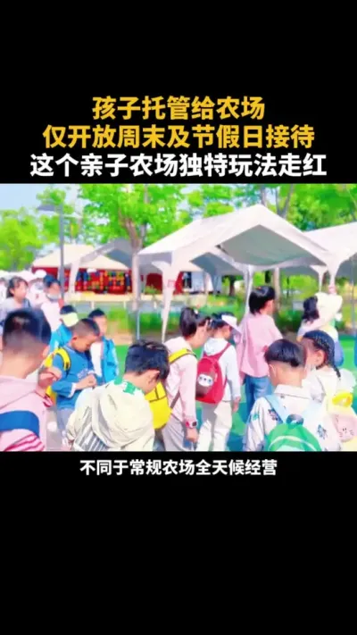 这个农场的玩法有点意思 #农场 #农庄 #乡村振兴 #运营 #三农