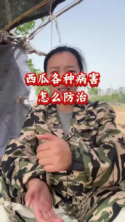 西瓜种植 西瓜各种病害怎么治 #西瓜种植 #西瓜管理 #病害防治