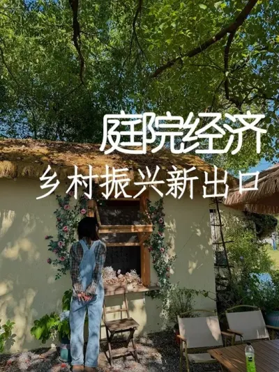 中央一号文件点名庭院经济！乡村振兴新出口 #小院改造 #小院时光 #天雅设计 #庭院设计 #乡村振兴
