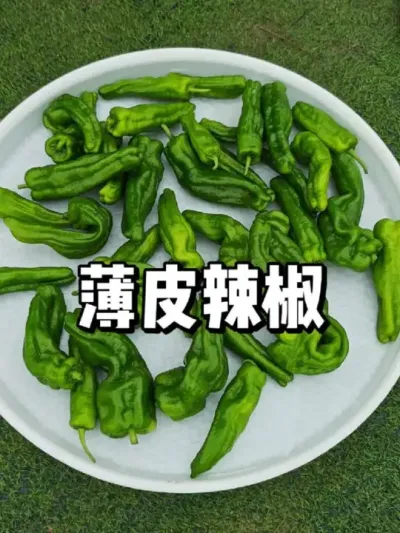 ձƤƤ΢ 