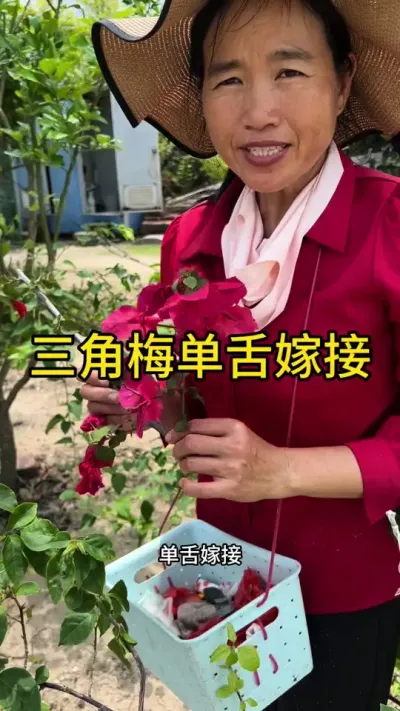 ÷޽#޽ #ũ2025 #dou㶫 #ѧũ