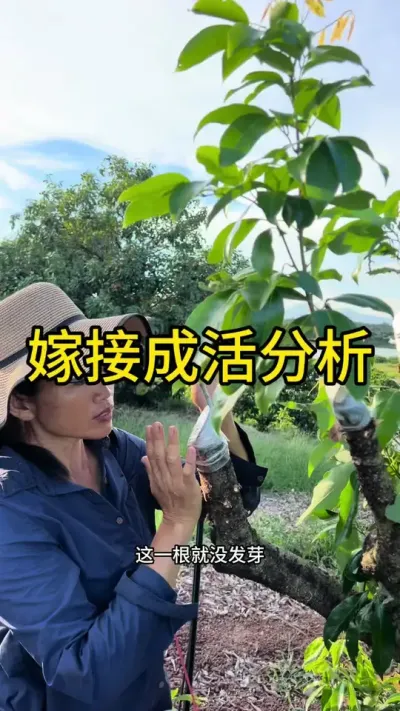 ޽ӳɻ#޽ #ũ2025#dou㶫 #ѧũ