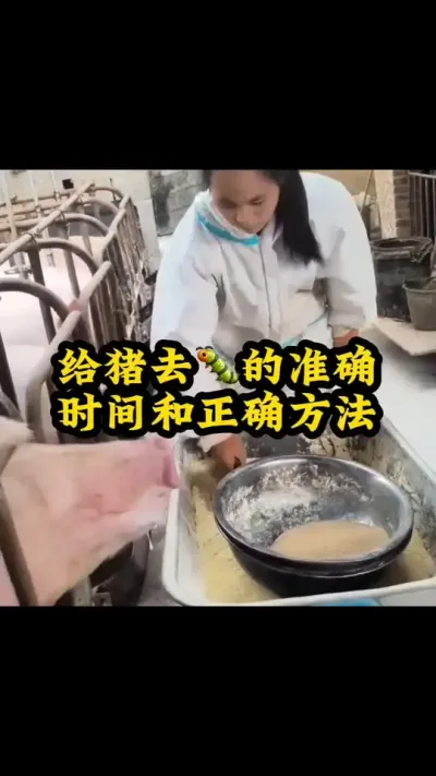 #养猪人 #养猪人不容易 #所有养猪人 #养猪人加油干 #养猪技术