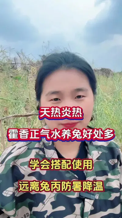 天气炎热，霍香正气水养兔帮大忙，远离夏季兔丙拉稀，防暑降温#兔子 #养兔人 #肉兔养殖 #科学养兔#兔子养殖