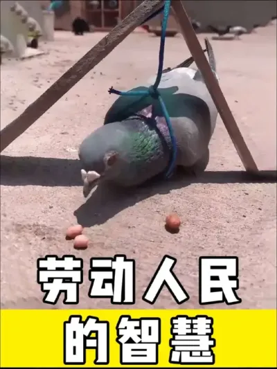 ͸ǻ̫ǻ#͸ǻ # # #С #ɻ