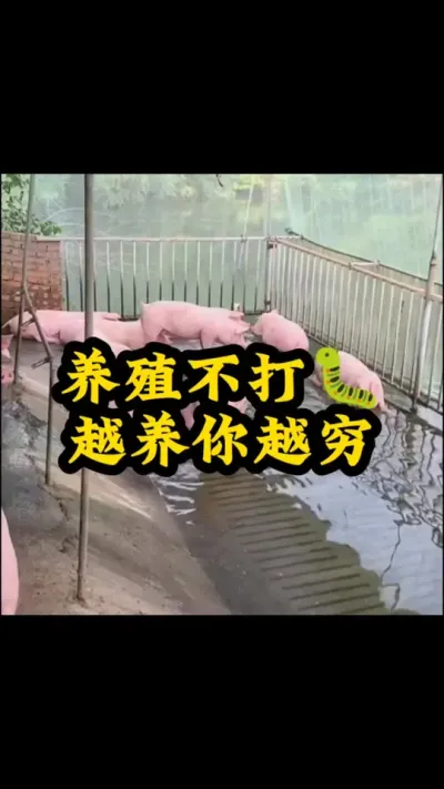 # #˼͸ #ũ #