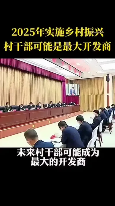 2025年实施乡村振兴村干部可能是最大的开发商 #乡村振兴 #家庭农场 #休闲农业 #乡村扶持