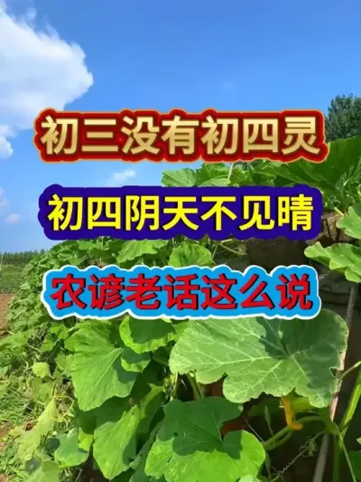 初三没有初四灵初四阴天不见晴农谚老话这么说 #农业种植 #农谚 #农业谚语 #服务三农支持三农 #分享农业知识帮农民增产增收