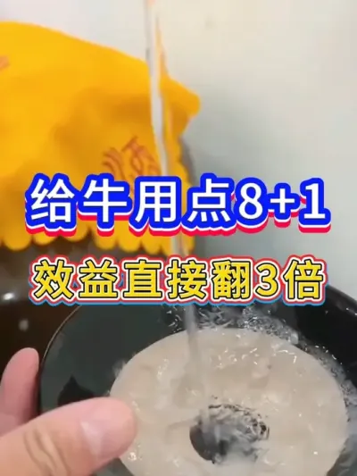 给牛用点8+1效益直接翻三倍 #养牛致富  #科学养牛  #牛羊驱虫  #养牛人 #三农养殖 #农村养殖 #养殖 #牛犊