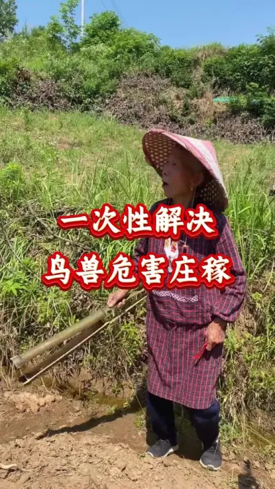 农业种植 一次性解决鸟兽危害庄稼 #驱鸟 #西瓜种植 #农业种植 #驱鸟神器