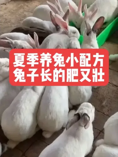 С䷽ӳķ׳ ###ũ#ֳ#