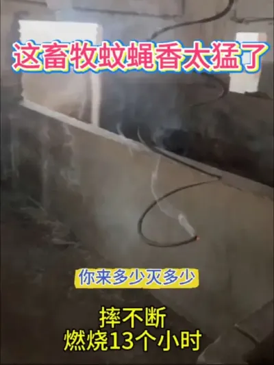 畜牧蚊蝇香，家畜家禽场都可以用，蚊蝇通灭，燃烧13小时，摔不断#鸡鸭鹅养殖#畜牧蚊蝇香#灭苍蝇蚊子#三农养殖#养殖助手