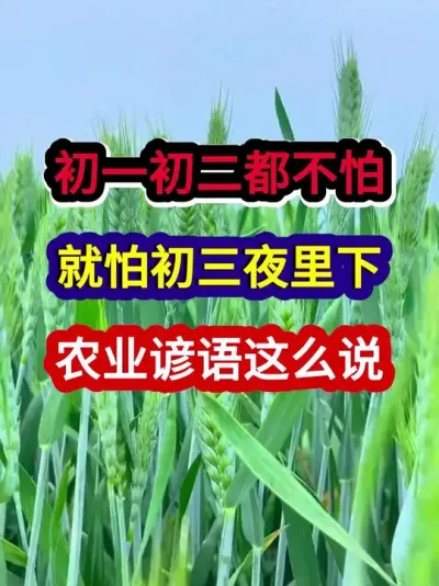 初一初二都不怕就怕初三夜里下农业谚语这么说 #农业谚语 #农谚 #农业种植 #三农 #分享农业知识帮农民增产增收