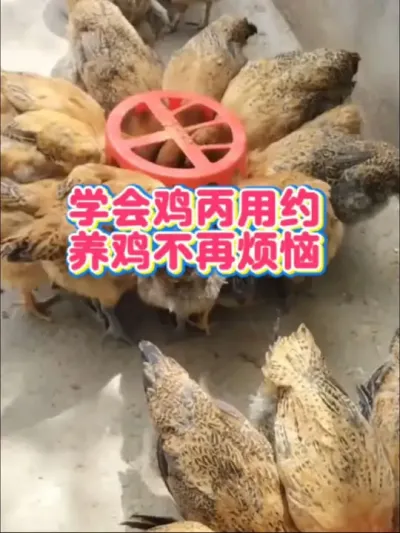 ѧἦ?ٰ####ѧ#֪ʶ
