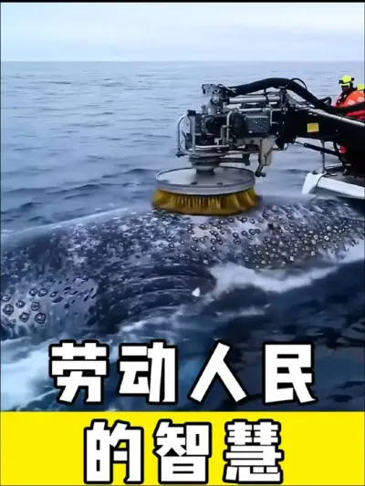 #͸ǻ # #С #С #ⷢ