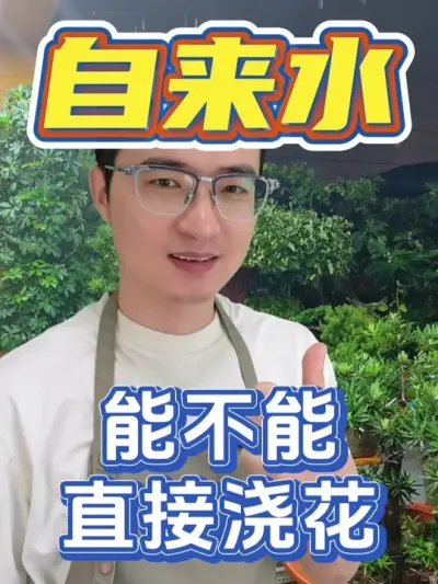 自来水能不可浇花？ #养花  #补酸  #硫酸亚铁