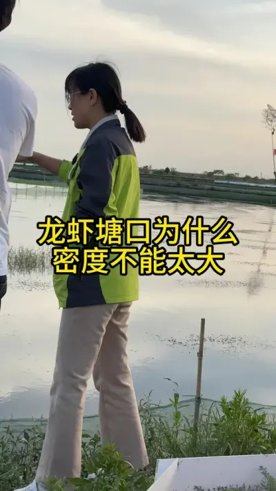 龙虾塘口为什么密度不能太大！！！ #渔多多养殖模式 #新农人计划2025 #龙虾养殖 #大闸蟹养殖 #三农