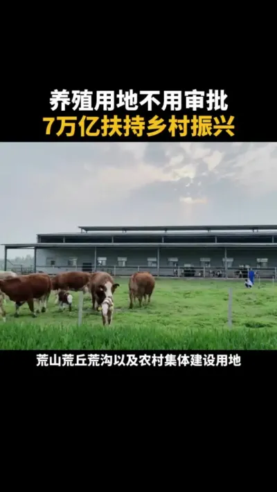 养殖用地不用审批 #乡村振兴 #土地 #农村 #养殖 #三农