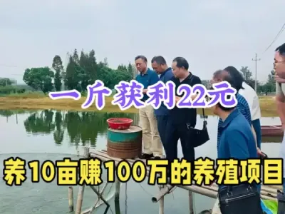ũֳ׬Ǯ10Ķ׬100122Ԫղ #ũֳ #紴ҵũ #ũ¸Ŀ #ֳ #ũ