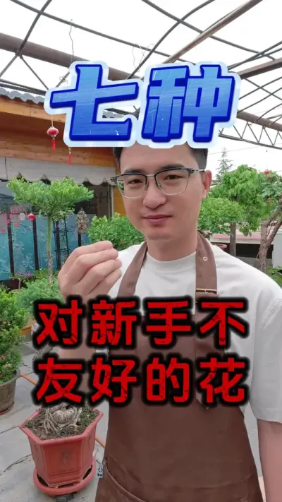 这七种花对新手不太友好，谨慎购买！#养花 #花卉绿植 #养花小知识