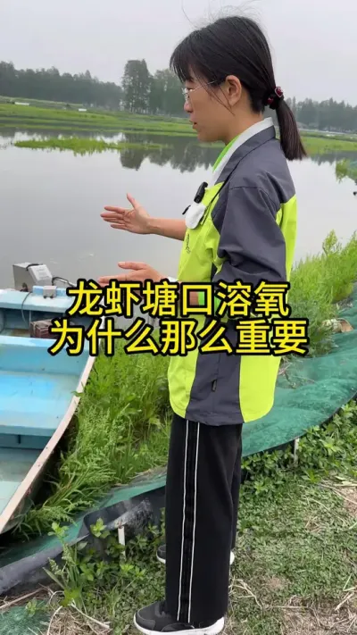 龙虾塘口溶氧为什么那么重要！！！ #渔多多养殖模式 #新农人计划2025 #龙虾养殖 #大闸蟹养殖 #三农