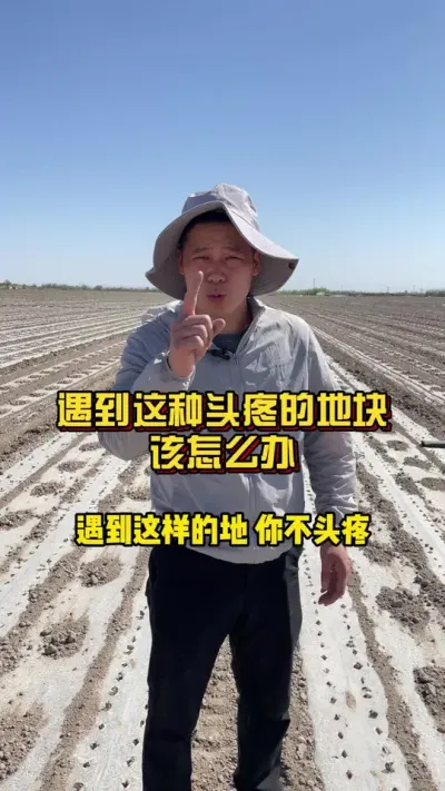 遇到这样子头疼的地块，你该怎么办？ #棉花种植专家讲座 #关注我每天分享种植知识 #棉花种植技术 @抖音小助手