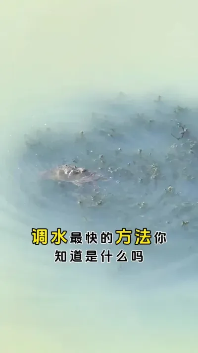 调水最快的方法你知道是什么吗？#螃蟹养殖 #河蟹养殖 #三农 #鱼虾蟹养殖 #粪净肽 @DOU+小助手