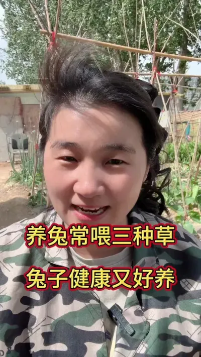 兔子关键在于喂养，平时喂对远离养兔烦恼#兔子 #养兔人 #肉兔养殖 #兔子养殖 #养兔