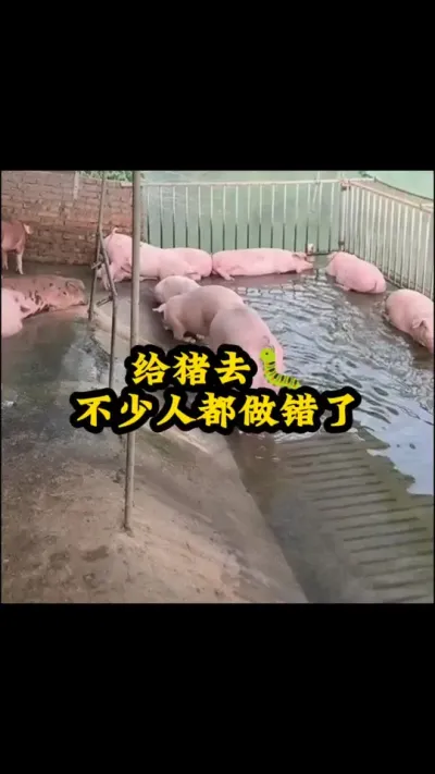 # # # # #˼͸