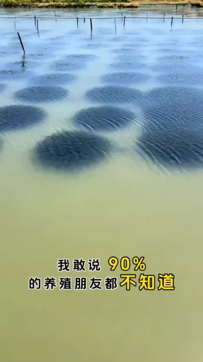 我敢说90%的朋友都不会正确的调水。#螃蟹养殖 #大闸蟹养殖 #鱼虾蟹养殖 #三农 #粪净肽 @DOU+小助手