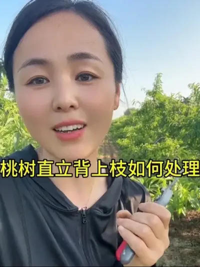 桃树背上枝处理 #果树种植管理 #农业种植技术 #自家果园