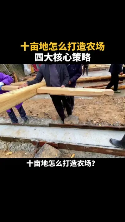 10亩地怎么打造农场？ #农场 #乡村振兴 #亲子游 #三农 #运营